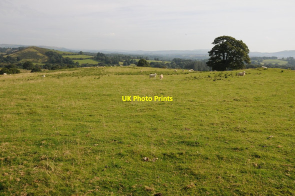Photo 6"x4" Farmland near Pentre-Llwyn-Llwyd Pentre-llwyn-llwyd c2012