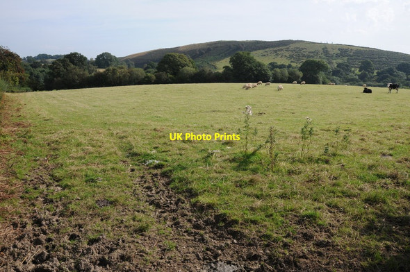 Photo 6"x4" Farmland near Llanafan-fawr Pentre-llwyn-llwyd c2012