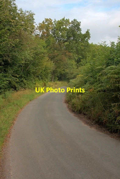 Photo 6"x4" Sleightholme Dale Road Fadmoor c2012