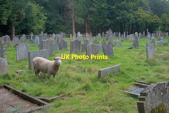 Photo 6"x4" St Gregory's Minster Graveyard Welburn\/SE6884 c2012