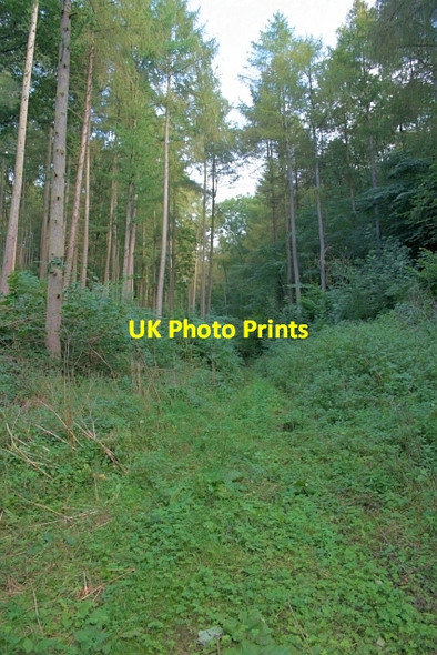 Photo 6"x4" Kirkdale Howl Kirkbymoorside c2012