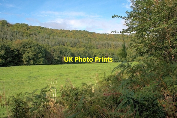 Photo 6"x4" Field in Kirkdale Kirkbymoorside c2012