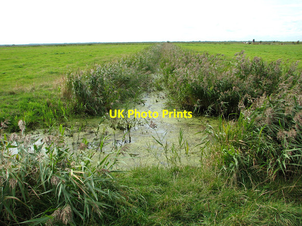 Photo 6"x4" Drainage ditch in marsh pastures south of River Waveney Belton\/TG4802 c2012