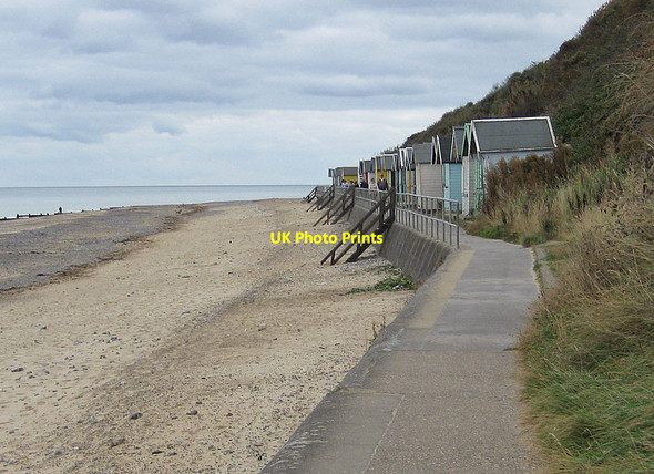 Photo 6"x4" All closed up Cromer\/TG2142 c2012