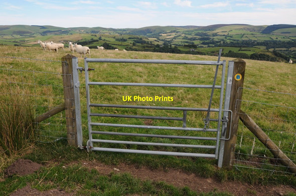 Photo 6"x4" Gate on a bridleway Camnant\/SO0956 c2012