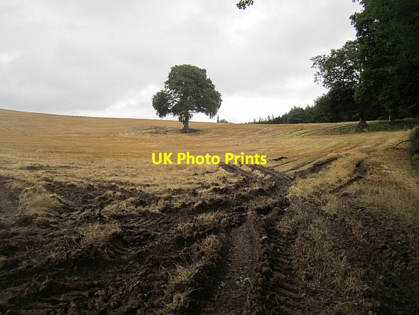 Photo 6"x4" Stubble field, St Martins St Martins\/NO1530 c2012