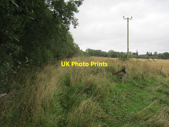 Photo 6"x4" Overgrown road, Dunsinnan Wolfhill\/NO1533 c2012