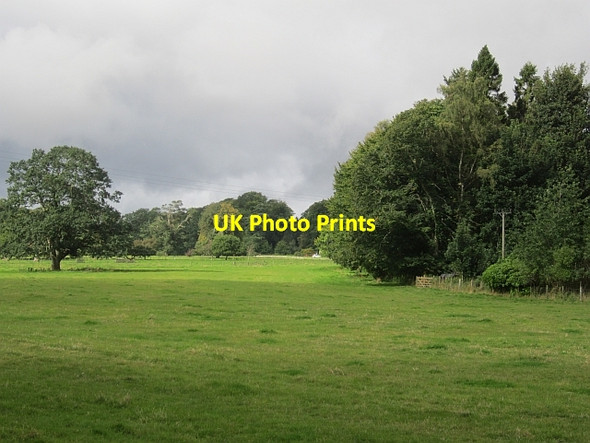 Photo 6"x4" Parkland, Dunsinnan Kinrossie c2012