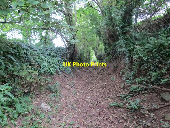 Photo 6"x4" Ceuffordd Llansteffan \/ Llansteffan  Holloway Llansteffan c2012