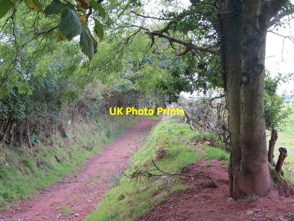 Photo 6"x4" Hen Heol Llansteffan Old Road Morfa Bach c2012