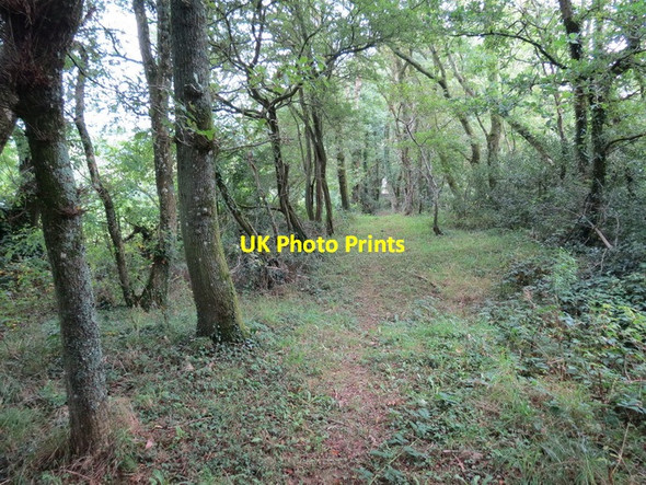 Photo 6"x4" Llwybr Arfordir Cymru \/ Wales Coastal Path Morfa Bach c2012