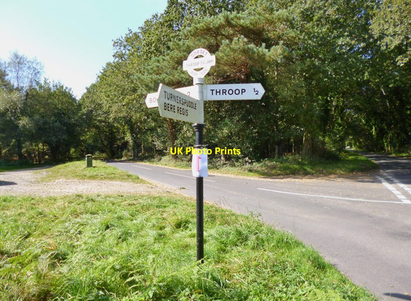 Photo 6"x4" Throop, fingerpost Throop c2012