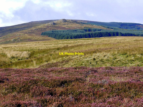 Photo 6"x4" Moorland west of Roddam Burn Ingram c2012
