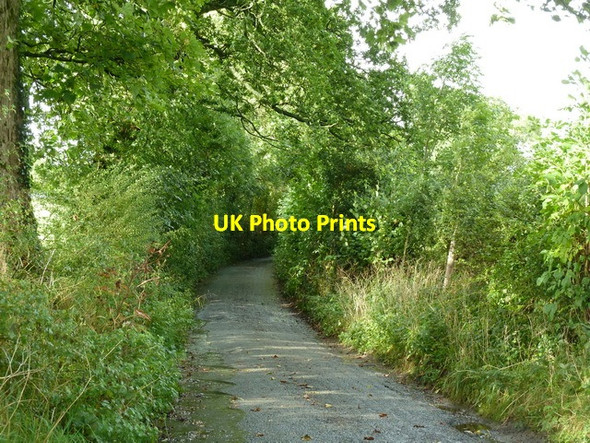 Photo 6"x4" West Lane heading for Downham Downham\/SD7844 c2012