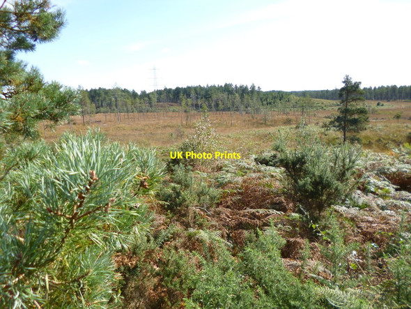 Photo 6"x4" Bryants Puddle Heath Briantspuddle c2012