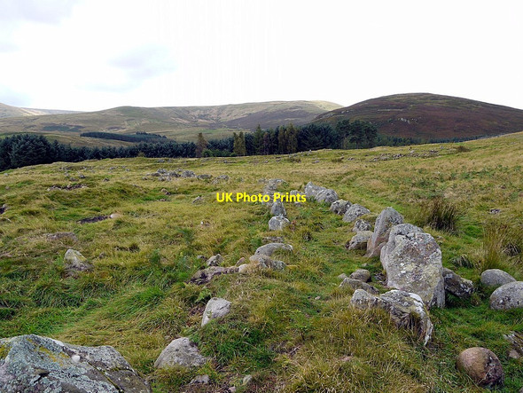 Photo 6"x4" Bivallate enclosure of 'Eastern Fort', Grieve's Ash Linhope\/NT9616 c2012