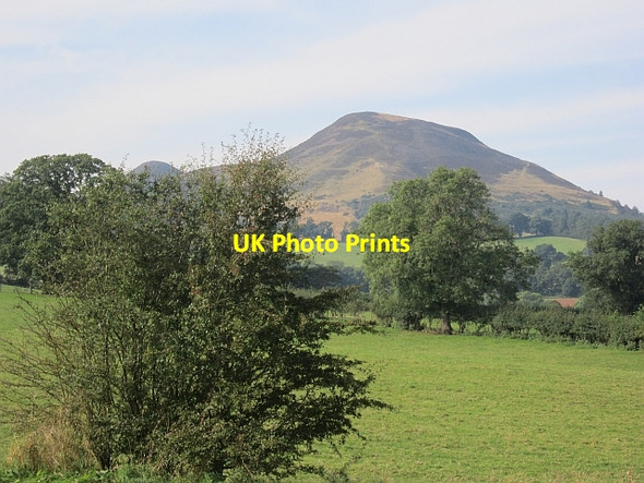 Photo 6"x4" Field  under the Eildon Hills Eildon c2012