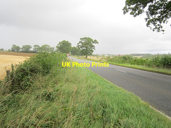 Photo 6"x4" A94, Redstone Saucher c2012