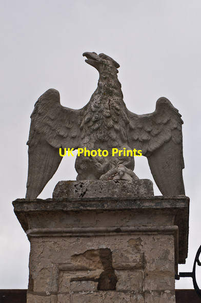 Photo 6"x4" Eagle, Reigate Priory Reigate c2012