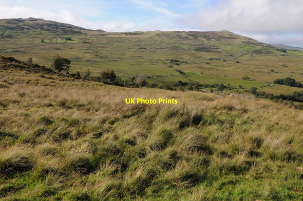 Photo 6"x4" Rough grazing above Afon Dulyn Llanbedr-y-cennin c2012