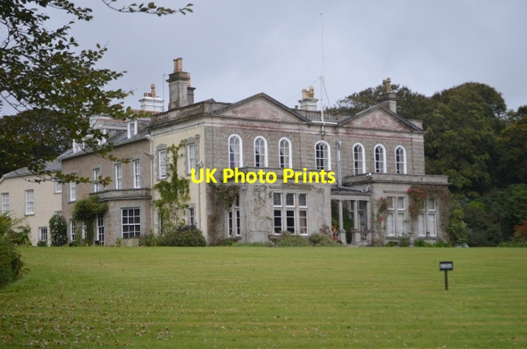 Photo 6"x4" Trengwainton NT Penzance c2012 P1