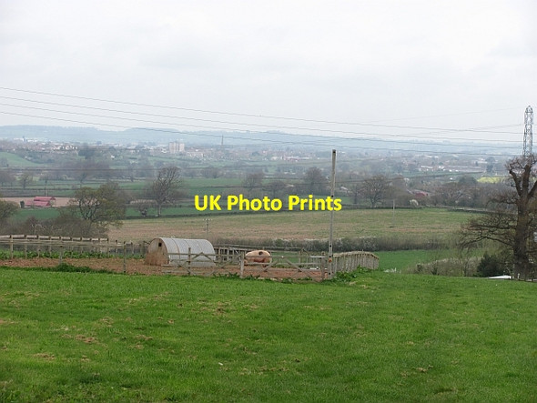 Photo 6"x4" Pig, Huntstile Huntstile c2012
