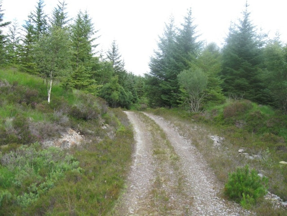 Photo 6"x4" Forestry track from Allt Sailean an E\u00c3\u00b2rna Salen\/An Sailean c2008 P1