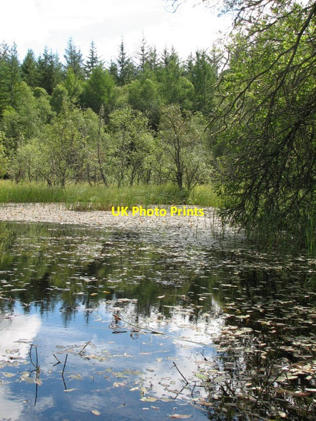 Photo 6"x4" Lochan by Fir Lodge Jamestown\/NH4756 c2012
