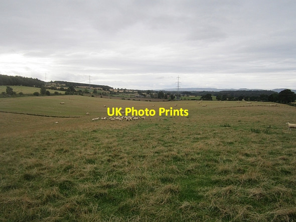 Photo 6"x4" Sheep pasture, Hatton Cargill c2012