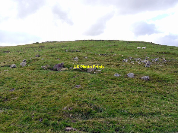 Photo 6"x4" North-east side of Hartside Hill Linhope\/NT9616 c2012