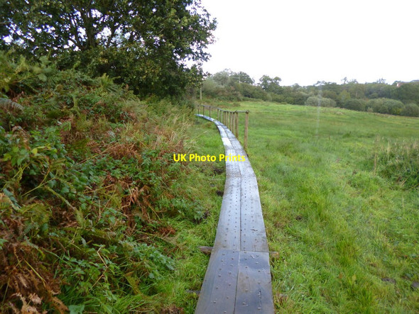 Photo 6"x4" Pamphill, boardwalk Wimborne Minster c2012