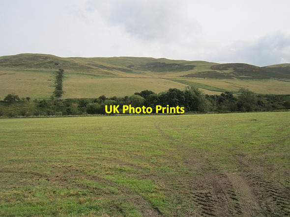 Photo 6"x4" Field beside the Kale Water Hownam c2012