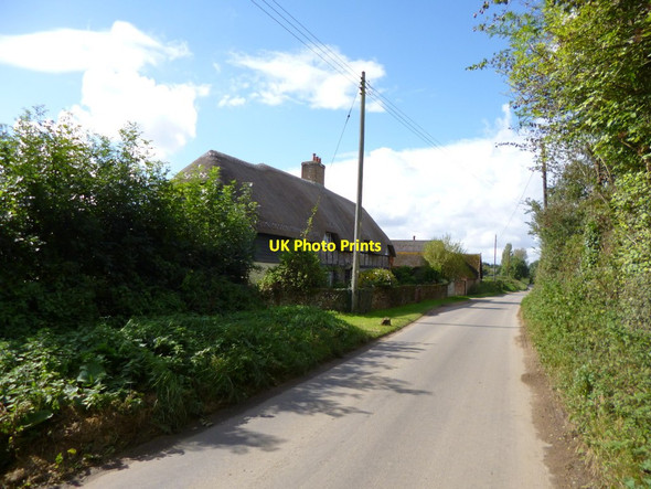 Photo 6"x4" Cowgrove, Higher Dairy Farm Cowgrove\/SY9899 c2012