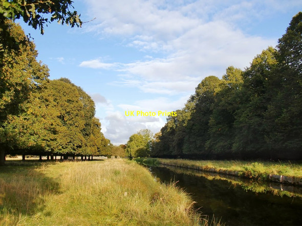 Photo 6"x4" The Longford River in Bushy Park Teddington\/TQ1670 c2012