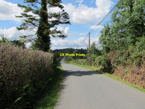 Photo 6"x4" View westwards along the Killatee Road Madabawn c2012
