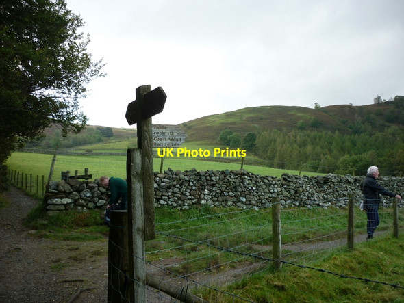 Photo 6"x4" The path leading to Great Wood Keswick\/NY2623 c2012