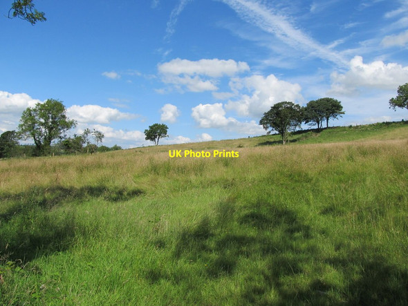 Photo 6"x4" Drumlin east of the Old Cootehill road Madabawn c2012