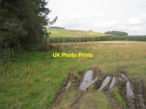 Photo 6"x4" Towards Stotfield Hill Edgerston c2012