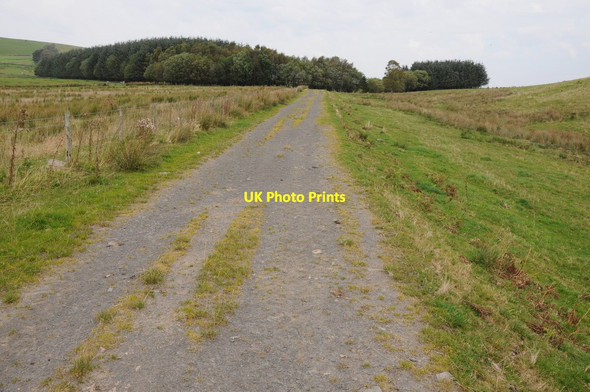 Photo 6"x4" Track near Rhostono Llanyre c2012