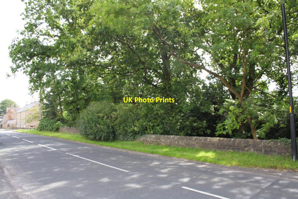 Photo 6"x4" Reeth Road (A6108) Richmond\/NZ1701 c2012