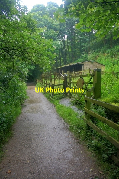 Photo 6"x4" Path to Elle Bank Farlands Booth c2012
