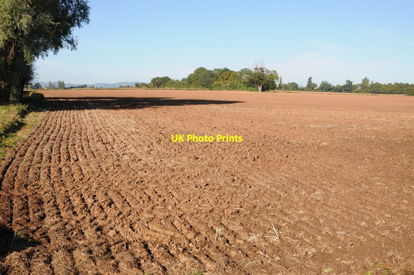 Photo 6"x4" Scuffled field at Earl's Croome Holly Green\/SO8641 c2012