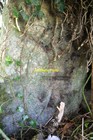 Photo 6"x4" Benchmark on old gatepost in hedge of Low Lane Harmby c2012