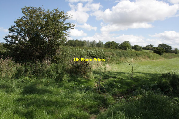 Photo 6"x4" Hedge junction on south side of Low Lane Harmby c2012