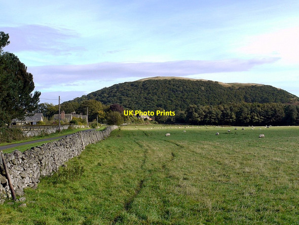 Photo 6"x4" Hethpoolbell Wood from Hethpool Westnewton\/NT9030 c2012