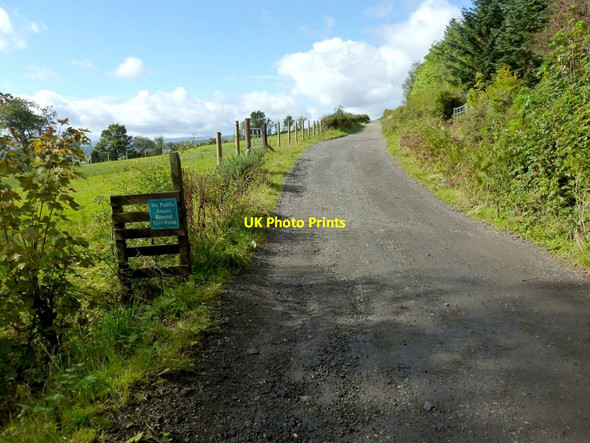 Photo 6"x4" Track to Ardencaple Farm Helensburgh c2012