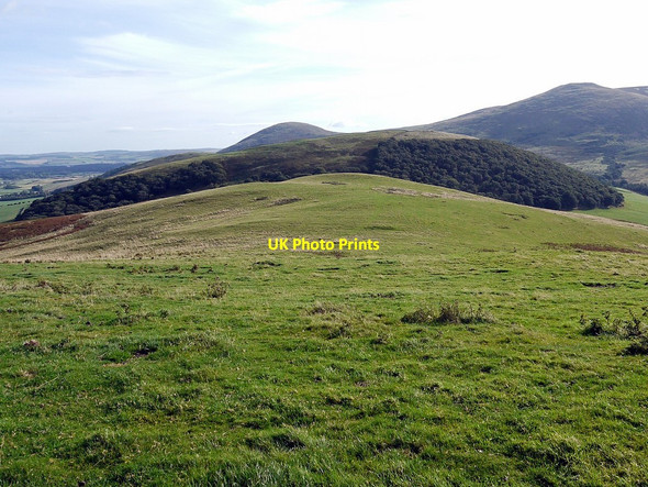 Photo 6"x4" White Hill Westnewton\/NT9030 c2012