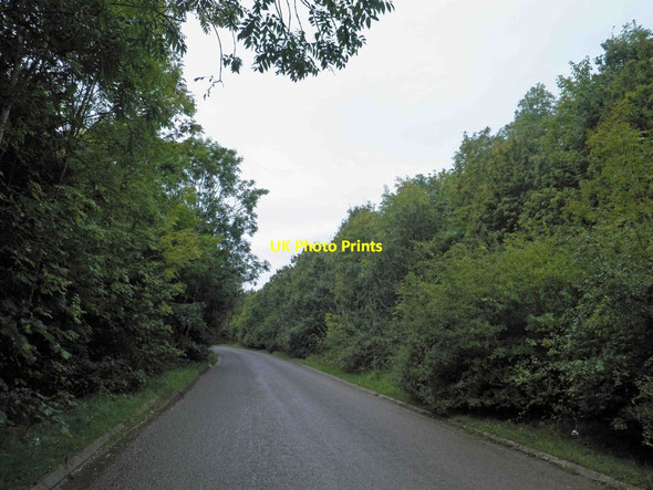 Photo 6"x4" Gerbestone Lane near junction 26 M5 motorway Wellington\/ST1420 c2012