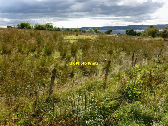 Photo 6"x4" Remains of accommodation camp Helensburgh c2012