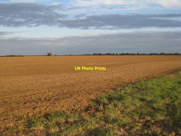 Photo 6"x4" Howell Fen Howell c2012